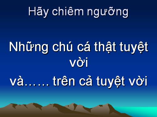 Hình cá cực đẹp