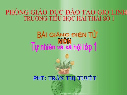 Bài 29. Nhận biết cây cối và con vật