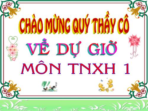 Bài 29. Nhận biết cây cối và con vật