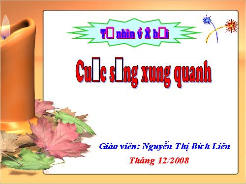 Bài 18. Cuộc sống xung quanh