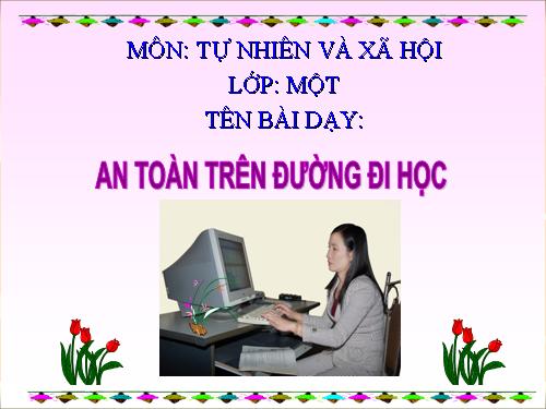 Bài 20. An toàn trên đường đi học