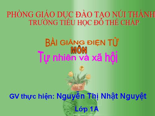 Bài 29. Nhận biết cây cối và con vật