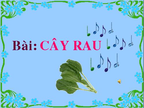 Bài 22. Cây rau