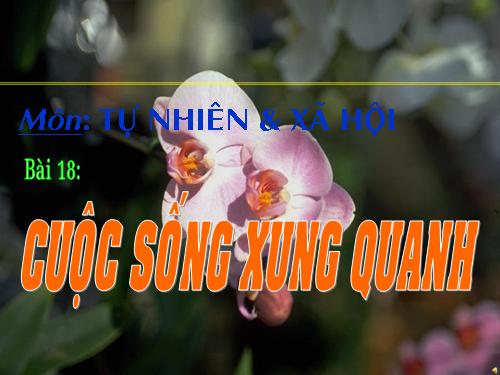 Bài 18. Cuộc sống xung quanh