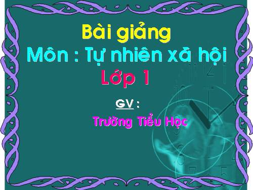 Bài 12. Nhà ở