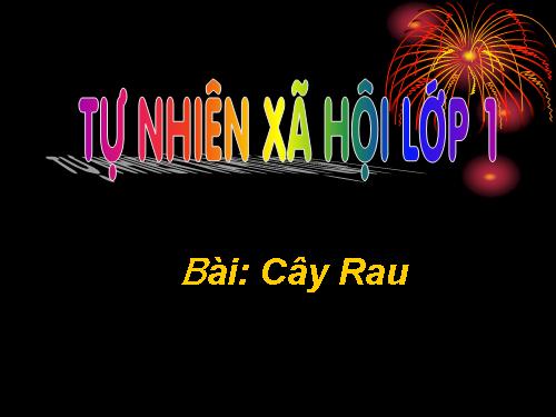 Bài 22. Cây rau