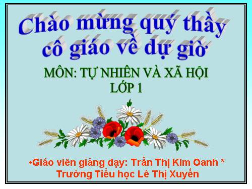 Bài 17. Giữ gìn lớp học sạch, đẹp