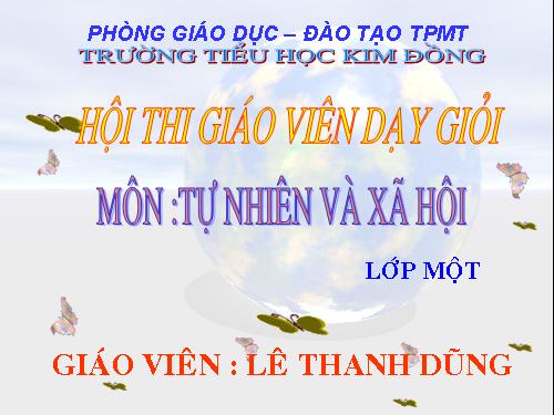 Bài 16. Hoạt động ở lớp