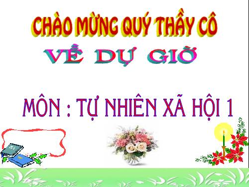 Bài 16. Hoạt động ở lớp