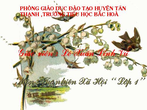 Bài 18. Cuộc sống xung quanh