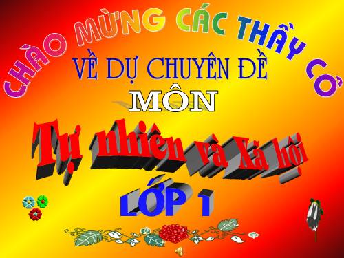 Bài 8. Ăn, uống hàng ngày