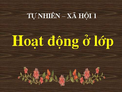 Bài 16. Hoạt động ở lớp