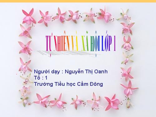 Bài 9. Hoạt động và nghỉ ngơi