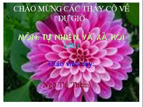 Bài 20. An toàn trên đường đi học