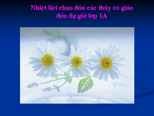 Bài 23. Cây hoa