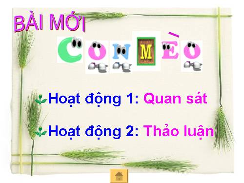 Bài 27. Con mèo