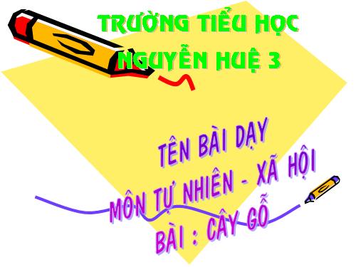 Bài 24. Cây gỗ