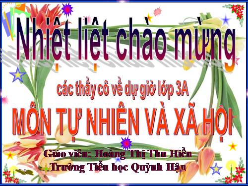 Bài 11. Vệ sinh cơ quan bài tiết nước tiểu