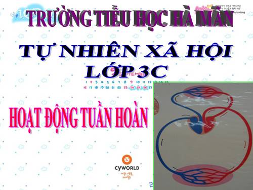 Bài 7. Hoạt động tuần hoàn