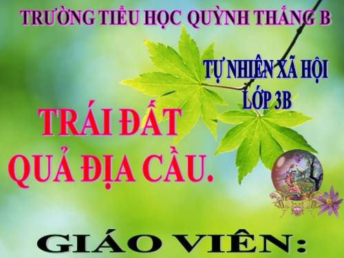 TNXH LỚP 3. TUẦN 30 ( BÀI 59 ).