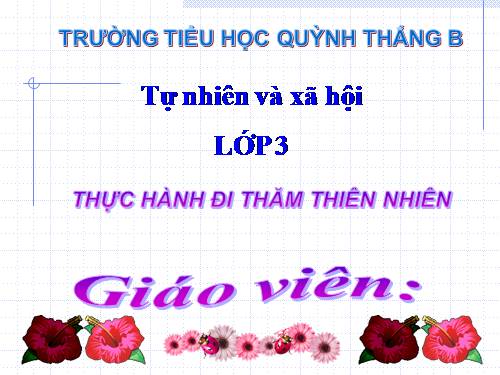 TNXH LỚP 3. TUẦN 29 ( BÀI 56, 57 ).