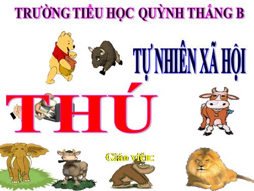 TNXH LỚP 3. TUẦN 27. (BÀI 54)