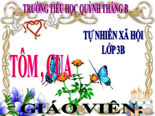 TNXH LỚP 3. TUẦN 26. (BÀI 51)