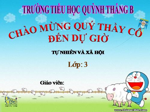 TNXH LỚP 3. TUẦN 25. (BÀI 49)