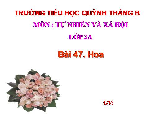 TNXH LỚP 3. TUẦN 24 . (BÀI 47)