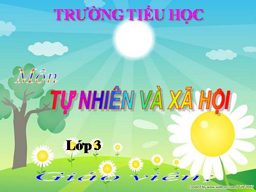 TNXH LỚP 3. TUẦN 23 . (BÀI 46)