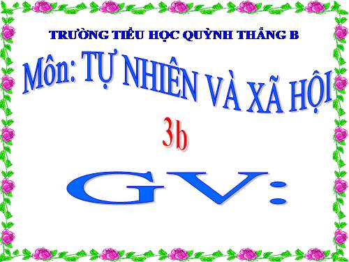 TNXH LỚP 3. TUẦN 18 . (BÀI 36)