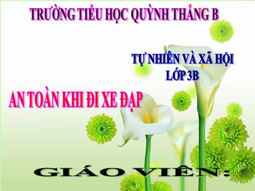 TNXH LỚP 3. TUẦN 17 . (BÀI 33)