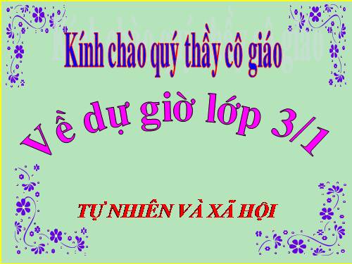 TNXH LỚP 3. TUẦN 14 . ( T2)