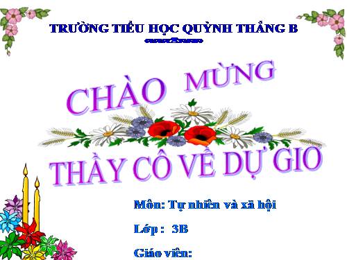 TNXH LỚP 3. TUẦN 12 . (BÀI 24)