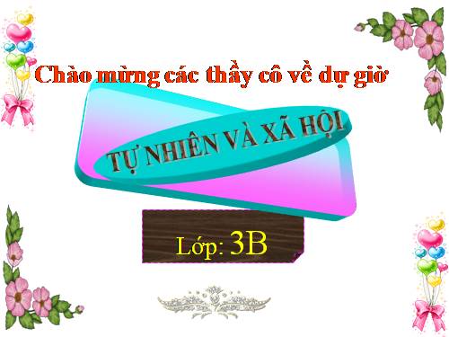 TNXH LỚP 3. TUẦN 9 ( BÀI 17, 18 )