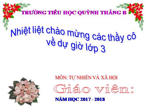 TNXH LỚP 3. TUẦN 8 ( BÀI 15 )