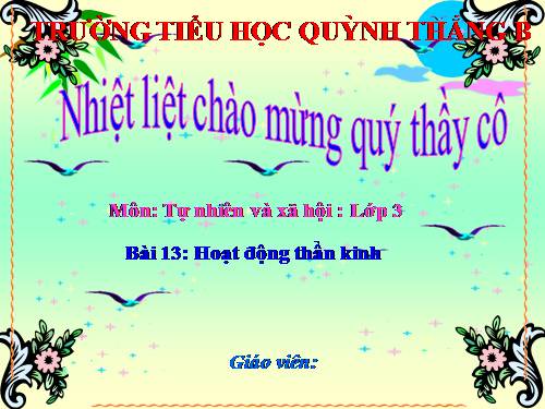 TNXH LỚP 3. TUAN 7 BÀI 14