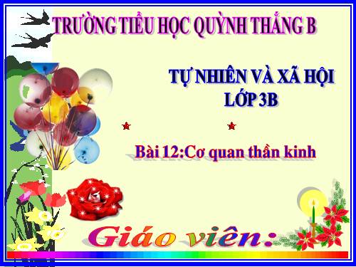 TNXH LỚP 3. TUAN 6 BÀI 12