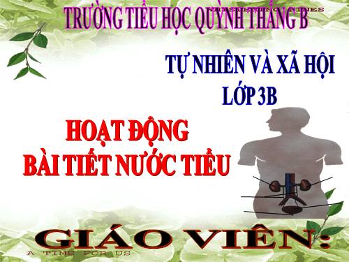 TNXH LỚP 3. TUAN 5 BÀI 10