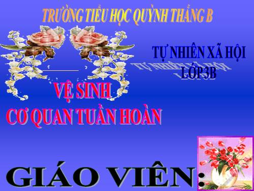 TNXH LỚP 3. TUAN 4 BÀI 8