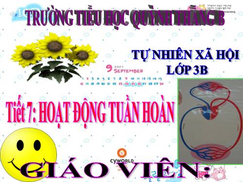 TNXH LỚP 3. TUAN 4 BÀI 7