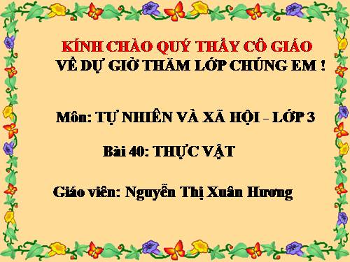 Bài 40. Thực vật