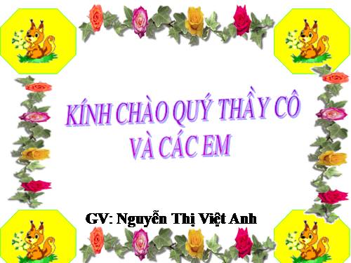 Bài 65. Các đới khí hậu