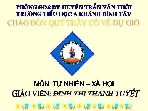 Tự nhiên xã hội: