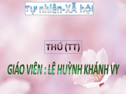 Bài 55. Thú (tiếp theo)