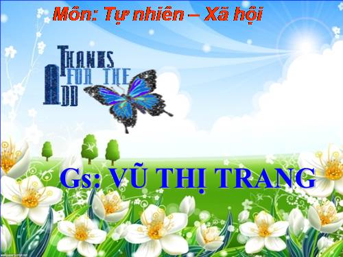 Bài 59. Trái Đất. Quả địa cầu