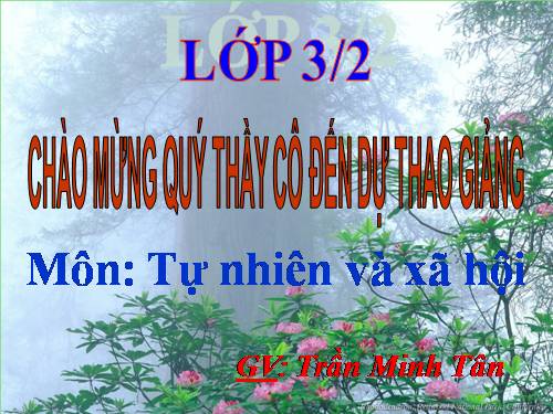 Bài 33. An toàn khi đi xe đạp