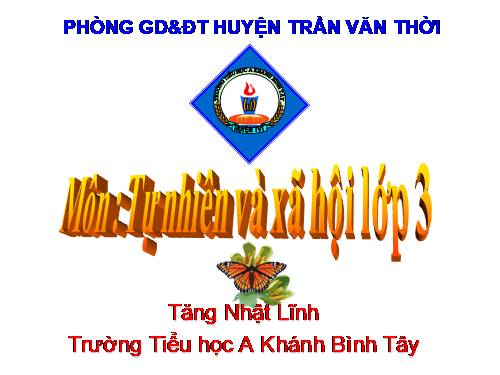 Bài 41. Thân cây