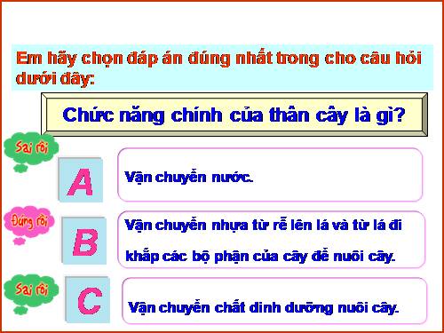 Bài 43. Rễ cây