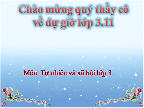 Bài 33. An toàn khi đi xe đạp